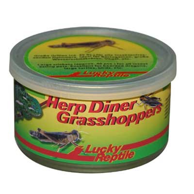 Lucky Reptile Herp Diner - sarančata 35g cca 50 středních