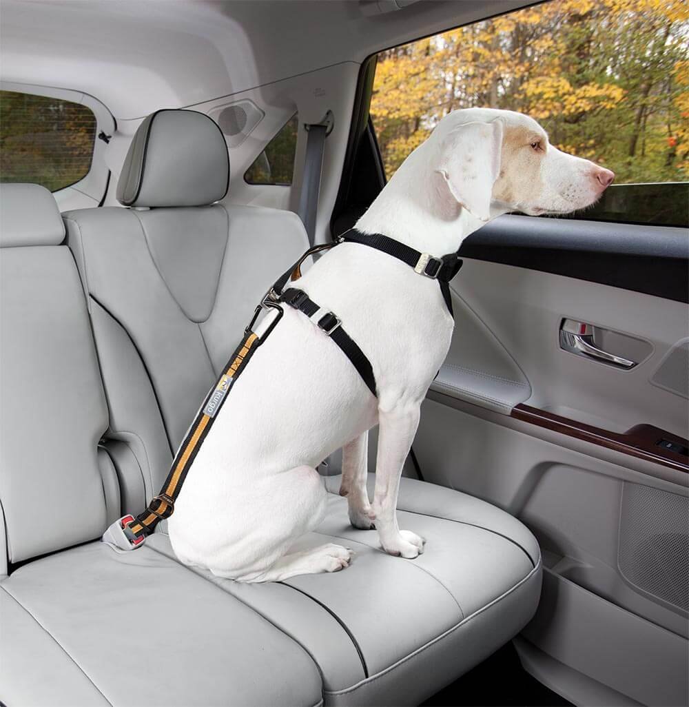 Kurgo Bezpečnostní autopás pro psa s upínacím mechanismem Direct to Seatbelt Tether